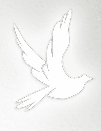Kelley  Jane Peschel Obituary
